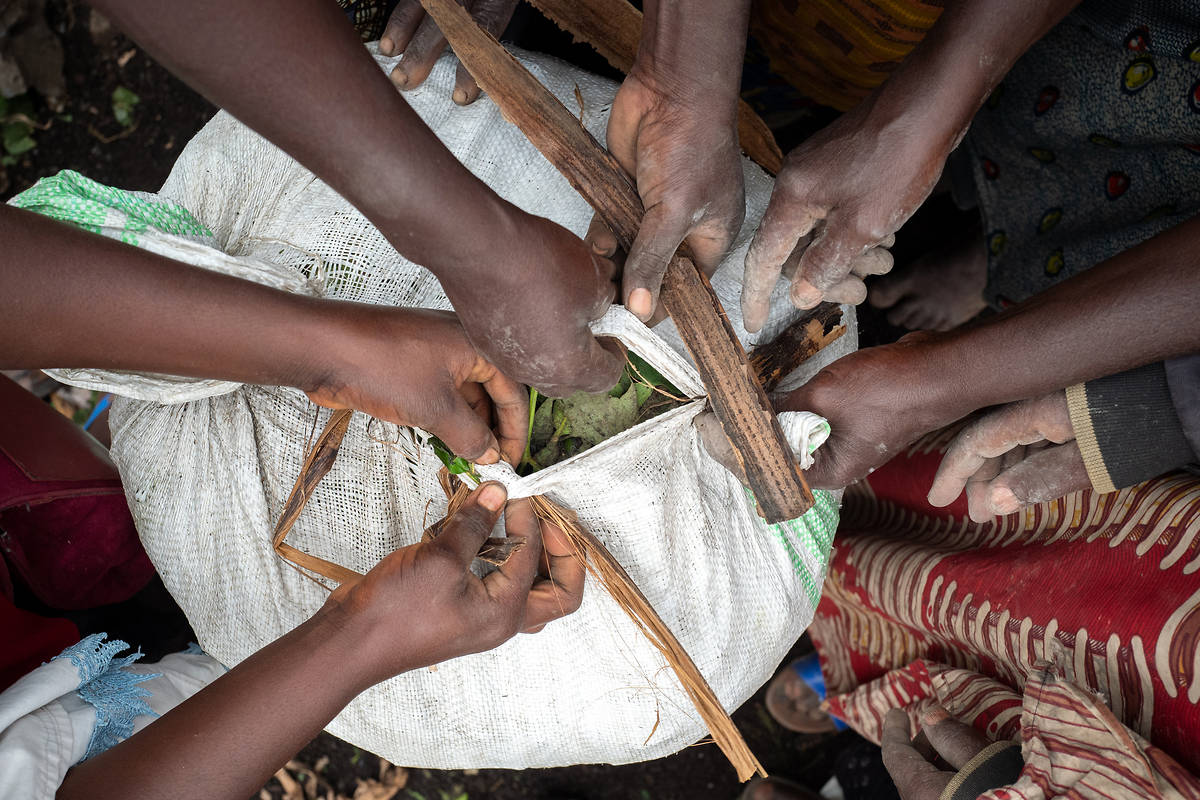 Quel avenir pour l'Afrique, autour de quelles alliances ?