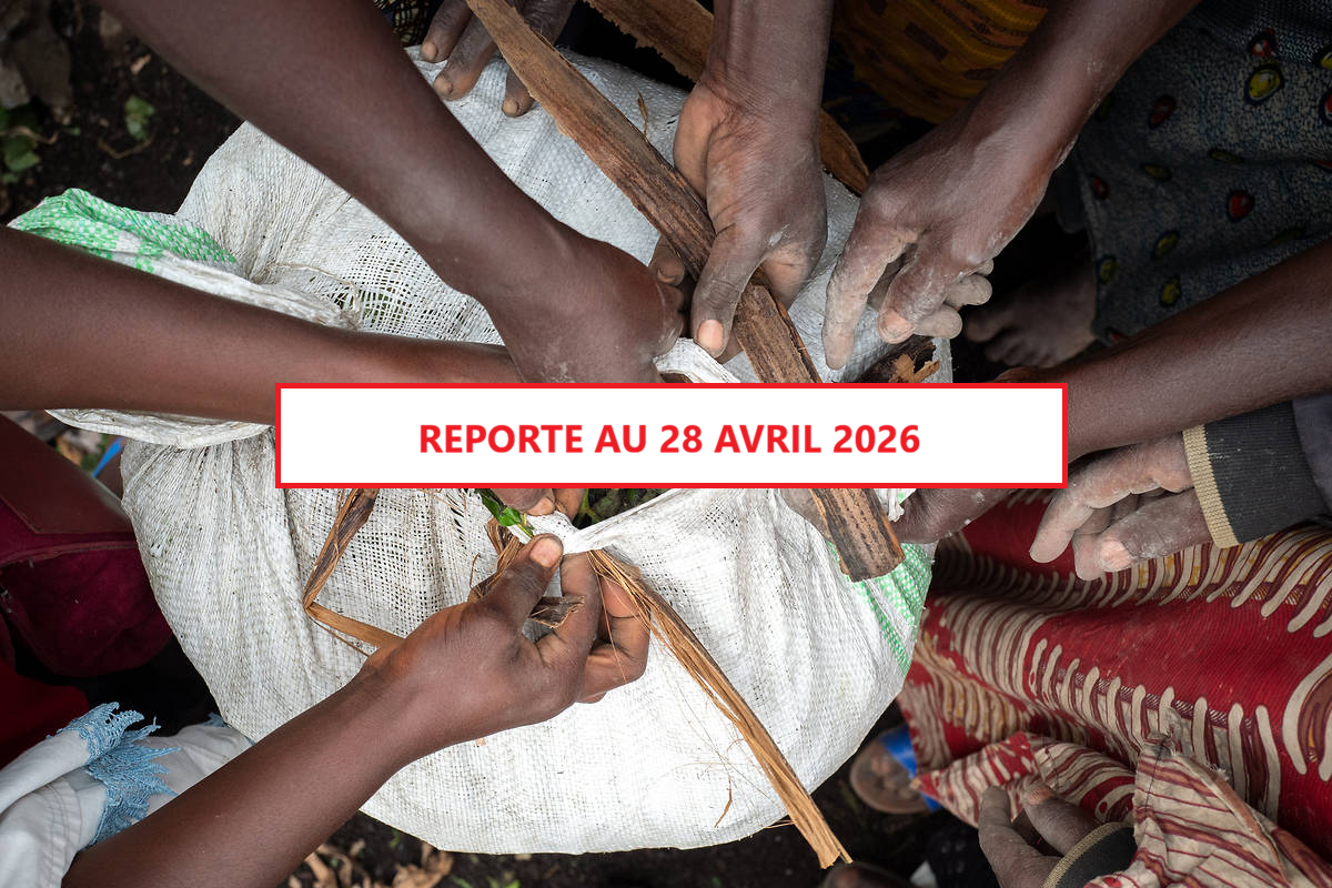 Evènement reporté : Quel avenir pour l'Afrique, autour de quelles alliances ?